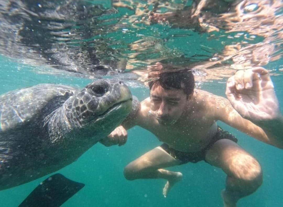 Lodge Bora Bora Los Órganos