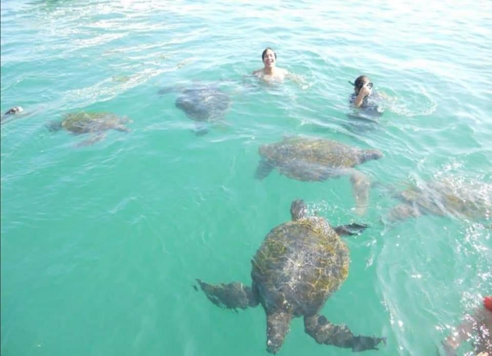 Bora Bora * Los Órganos