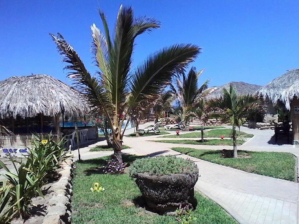 Bora Bora * Los Órganos
